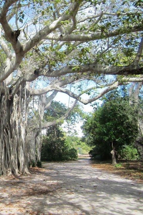 Hugh Taylor Birch State Park