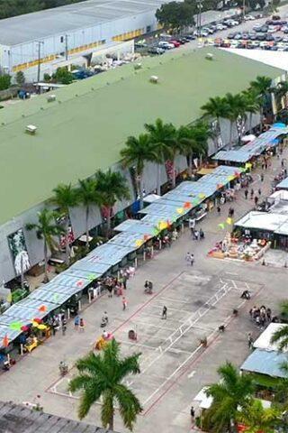 Yellow Green Farmers Market